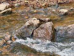 -香炉山国家森林公园
