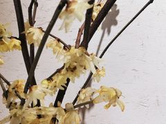 -八珍手工水饺·妈妈的爱(传芳巷店)