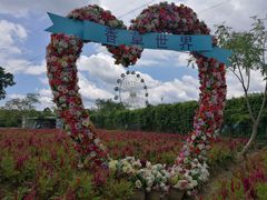 -广东花都香草世界旅游度假区