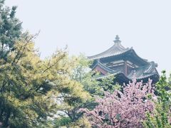 -西安青龙寺遗址景区