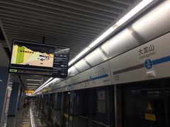 -大龙山(地铁站)