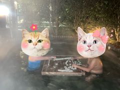 -扬州瘦西湖温泉