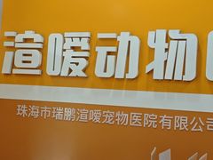 -渲嗳动物医院(异宠·复杂内科转诊中心·玖洲道富华里分院)