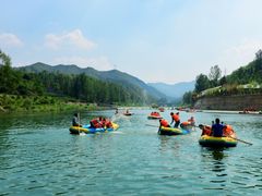 -栾川竹海野生动物园