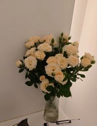 -苑苑vbeauty科技美容SPA