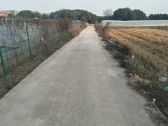 -胜丰草莓采摘园