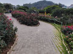 -立新湖公园
