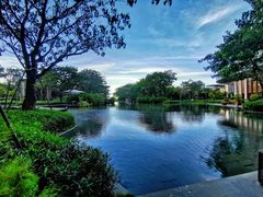 -瑰丽酒店·海吧·天际下午茶·现场DJ·天台酒吧