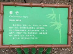 -紫竹院公园冰场