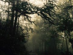 -公盂村
