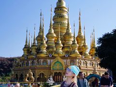 -西双版纳勐泐文化旅游区