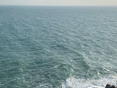 -广东惠东海龟国家级自然保护区