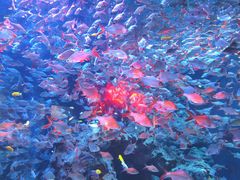 -成都浩海立方海洋公园