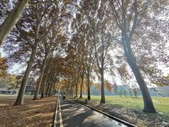 -河南省黄河迎宾馆