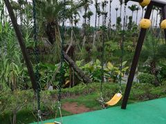 -枫香湖儿童公园