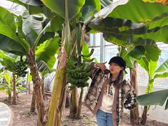 -兴芮温泉度假区