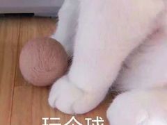 -CoCo都可(北新桥店)
