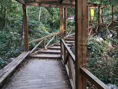 -大岭沟猕猴桃谷风景区