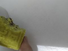-采芝斋(延安路店)
