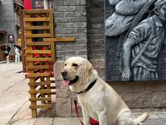 -重庆十八梯传统风貌区