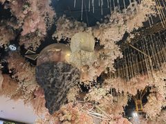 -云境生态园(红谷滩店)