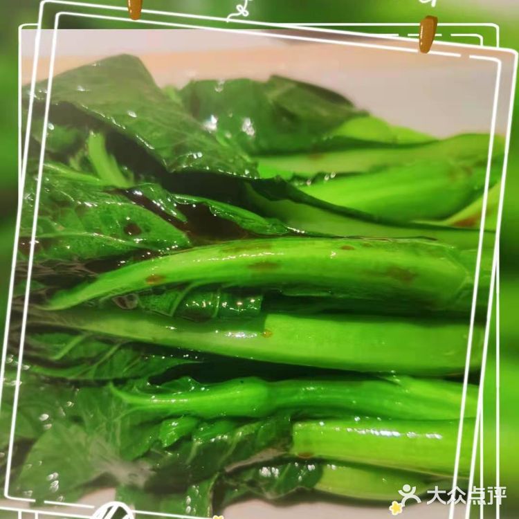 美好记忆的茶港