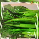 美好记忆的茶港