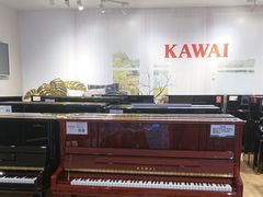 -柏斯音乐艺术中心·钢琴·吉他(世纪金源店)