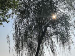 -鱼你在一起(顺义国泰生活广场机场店)