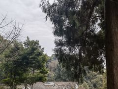 -都江堰普照寺