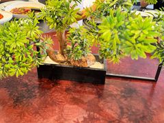 -绿杨春·淮扬宴(庐山路店)