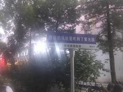 -紫光园·烤鸭·北京菜(劲松店)