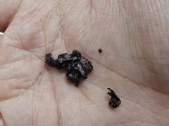 -奈雪的茶(M+世纪都会广场店)