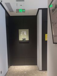 -CRAIE可瑞医美式医美·111SKIN