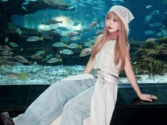 -海合安武汉极地海洋公园