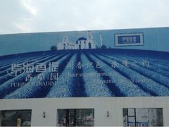 iphone_upload_pic-紫海香堤香草艺术庄园