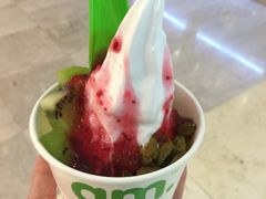 -Salud撒露欧洲冻酸奶(蓝色港湾店)