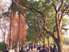 -食膳公园包子铺(烈士公园店)