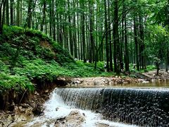 -洛阳白云山景区