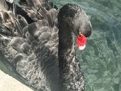 -水磨沟公园
