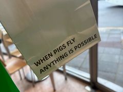 -WHEN PIGS FLY当猪飞