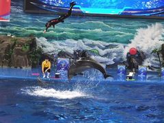 -多彩贵州城极地海洋世界