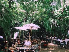 -Fern Forest Cafe
