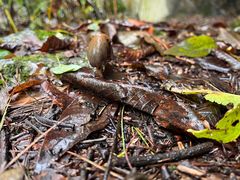 -青峰峡国家森林公园