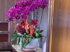 -龍二烧肉酒场(九亭店)