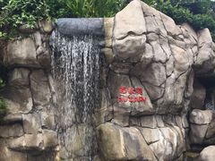 -九龙公园