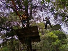 -衢州大荫山丛林飞越探险乐园