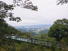 -黄埔油麻山森林公园