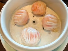 虾饺皇-粤界(望京金辉店)