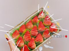 -PAGODA百果园(保利红珊瑚店)